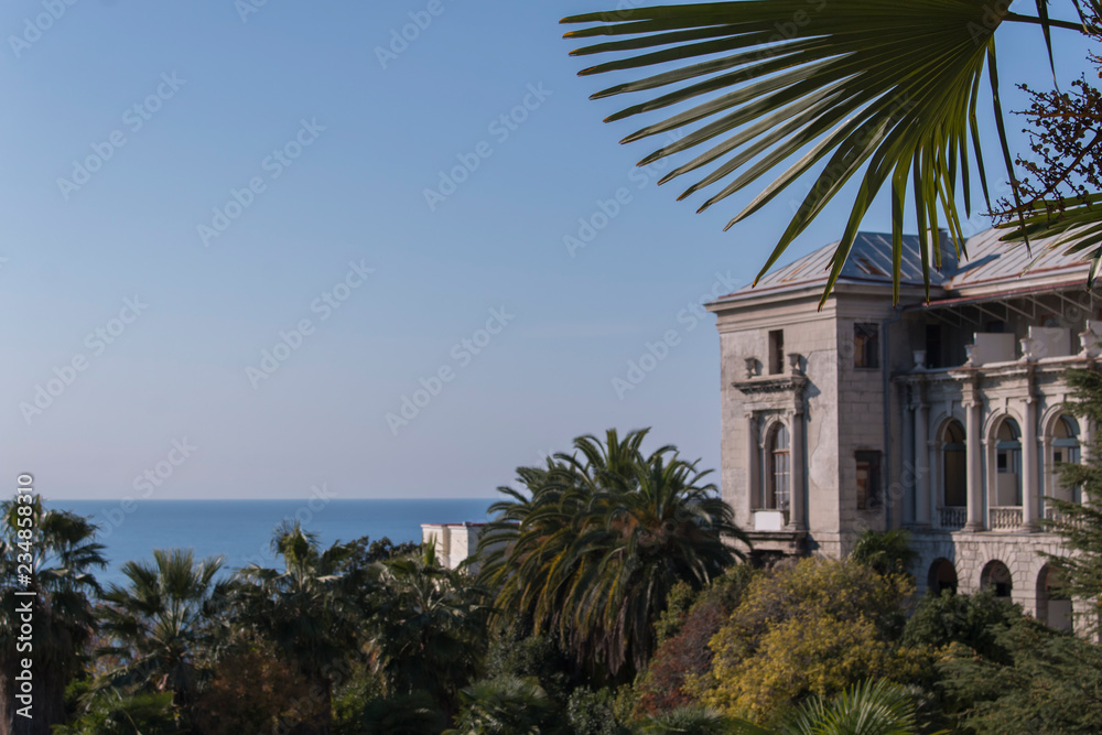Fototapeta premium Fragment like view of nice European summer park. blurred background