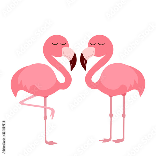 pink flamingo illustration