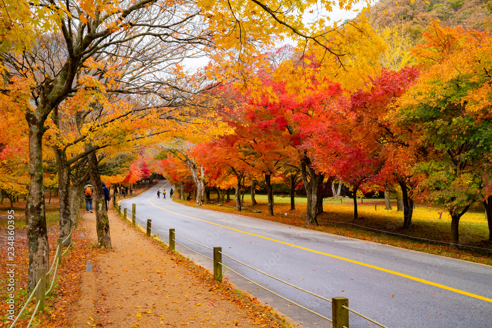 단풍이 아름다운 가을 풍경 Stock-Foto | Adobe Stock