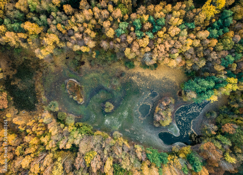 Herbstwald mit kleinem, ausgetrocknetem See aus der Vogelperspektive - Luftaufnahme