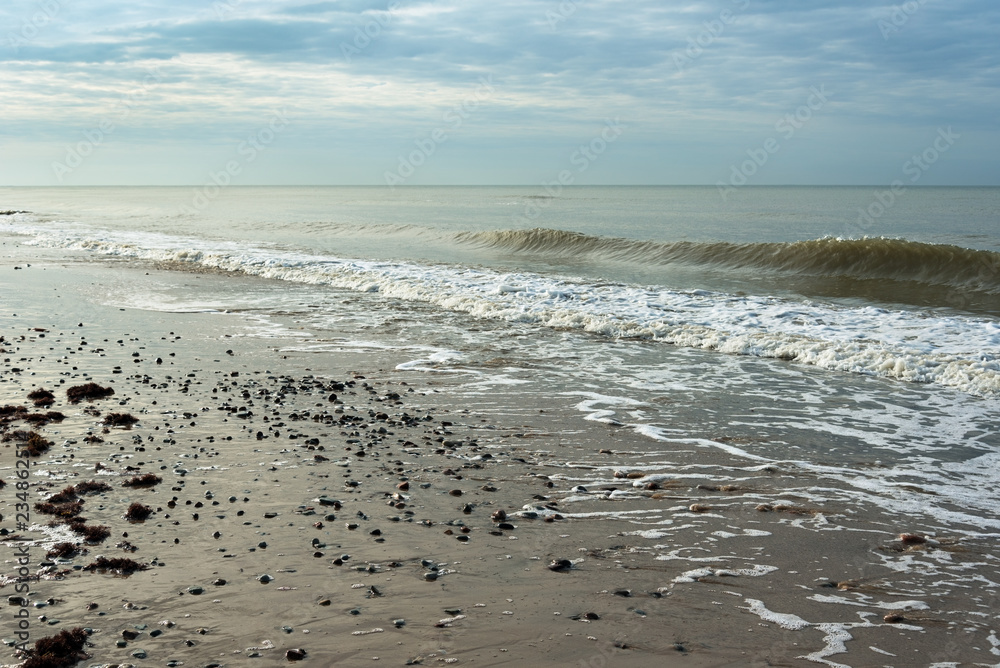 Coastline of Baltic sea.