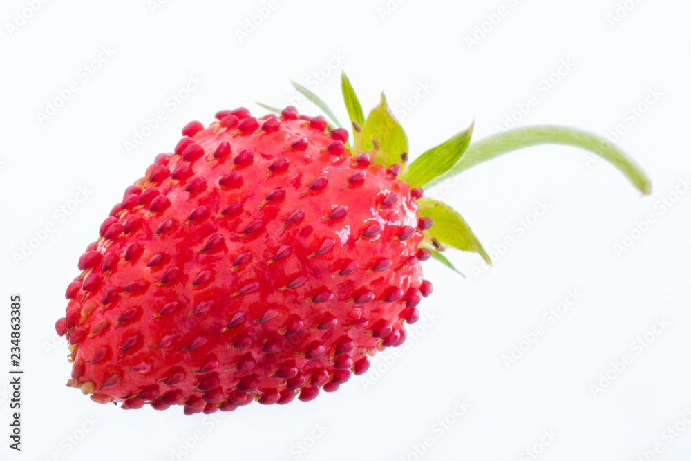 Red Wild Strawberries isolated on white Red Wild Strawberries isolated on white