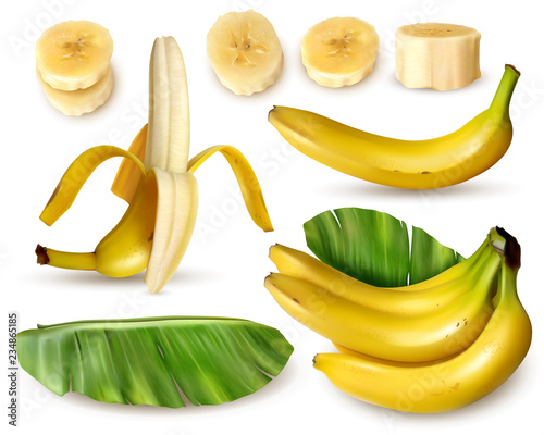Banana Plant Realistic Set