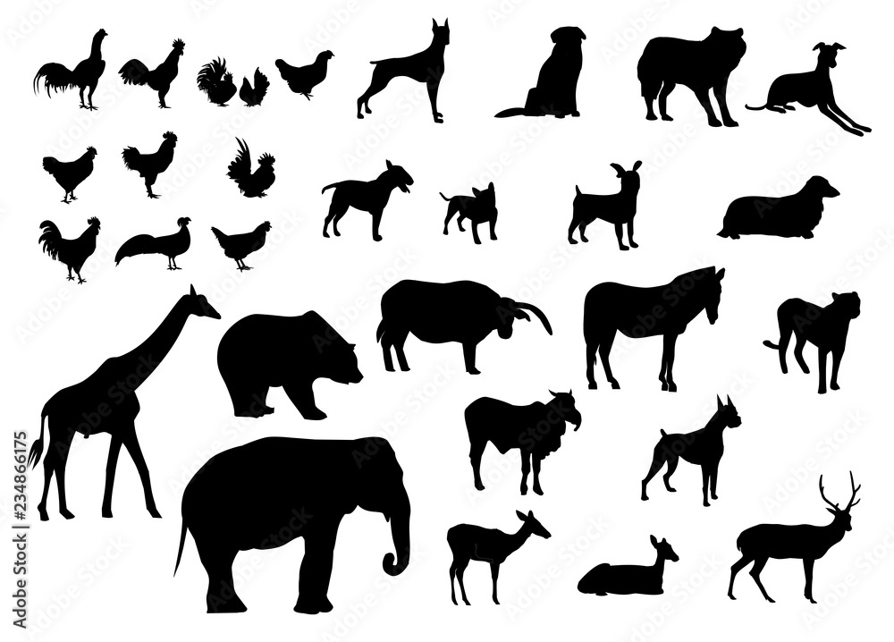Black silhouettes set of animals various types on white background