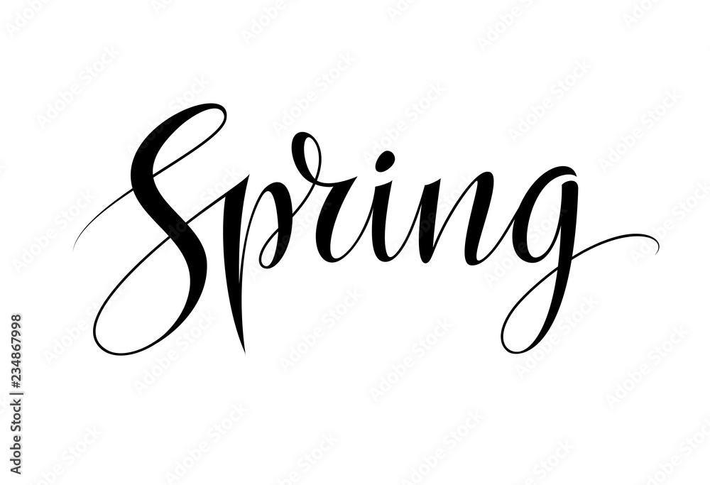 Spring word isolated on white background. Logo template and card design. Vintage lettering design element and decoration. Vector illustration EPS10 Spring word isolated on white background. Logo template and card design. Vintage lettering design element and decoration. Vector illustration EPS10
