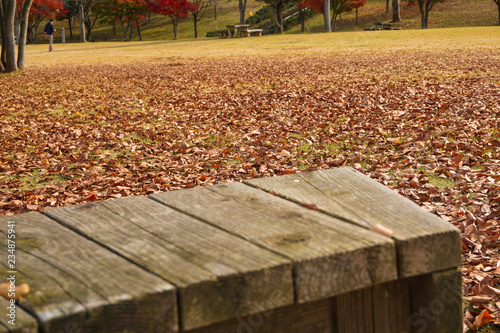 Fall and winter material. Park and lots of fallen leaves. 秋冬素材 公園とたくさんの落ち葉