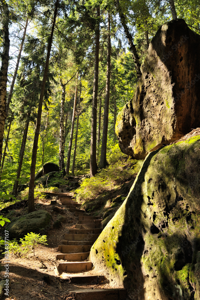 Obraz premium Felsentreppe, Schrammsteine, Elbsandsteingebirge, Sächsische Schweiz, Sachsen, Deutschland, Europa, Nationalparkregion Sächsische Schweiz, Unesco Weltnaturerbe
