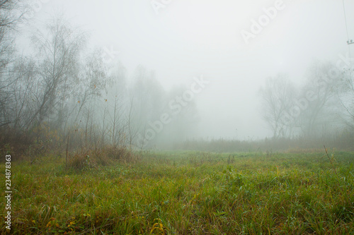 Misty morning on the forest. Beautiful autumn trees on a fog. The trail on a meadow. Frozen grass.