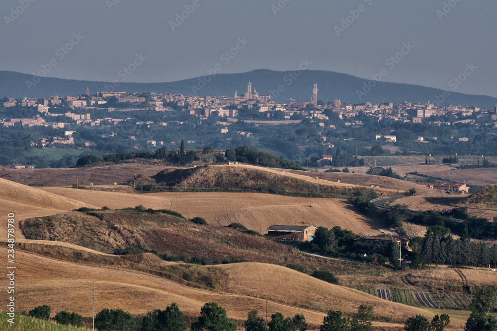 Tuscan landscape in the countryside with city of Siena in the background