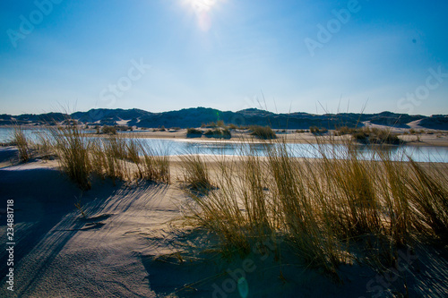 Dünen auf Norderney