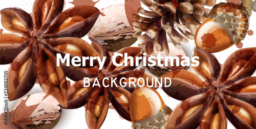 Merry Christmas card with Anise star Vector