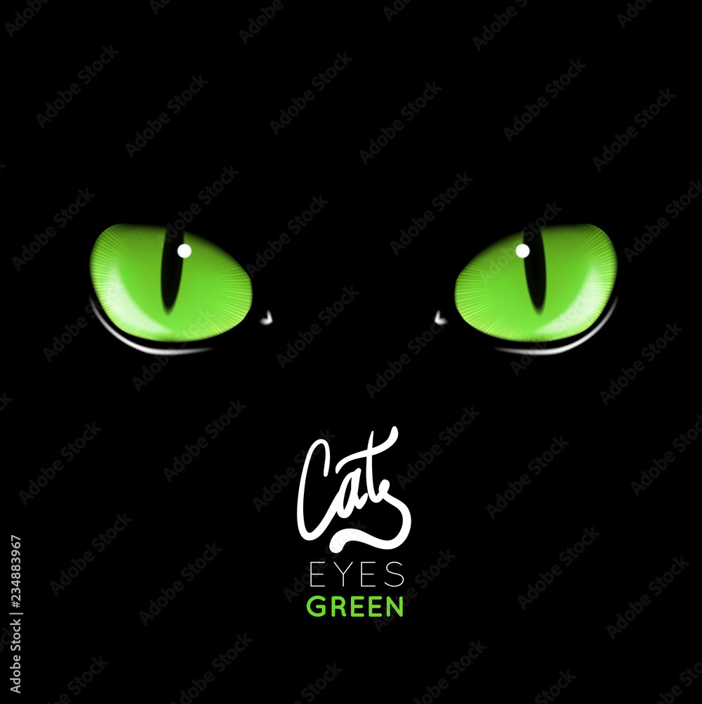 Black cat's green eyes vector illustration