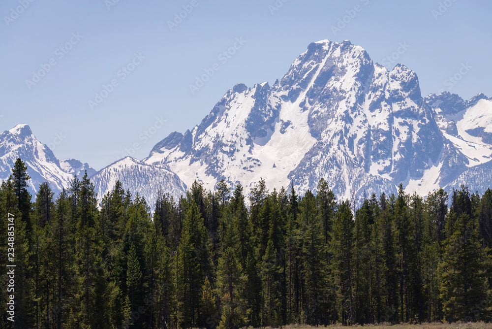 pine trees snow covered mountain range 