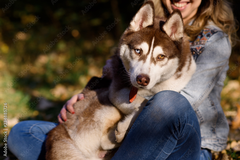 Smiling young brunette girl sitting with her husky dog in green park outdoors. Cute and friendly couple enjoying the nature. Pretty female and fluffy doggy