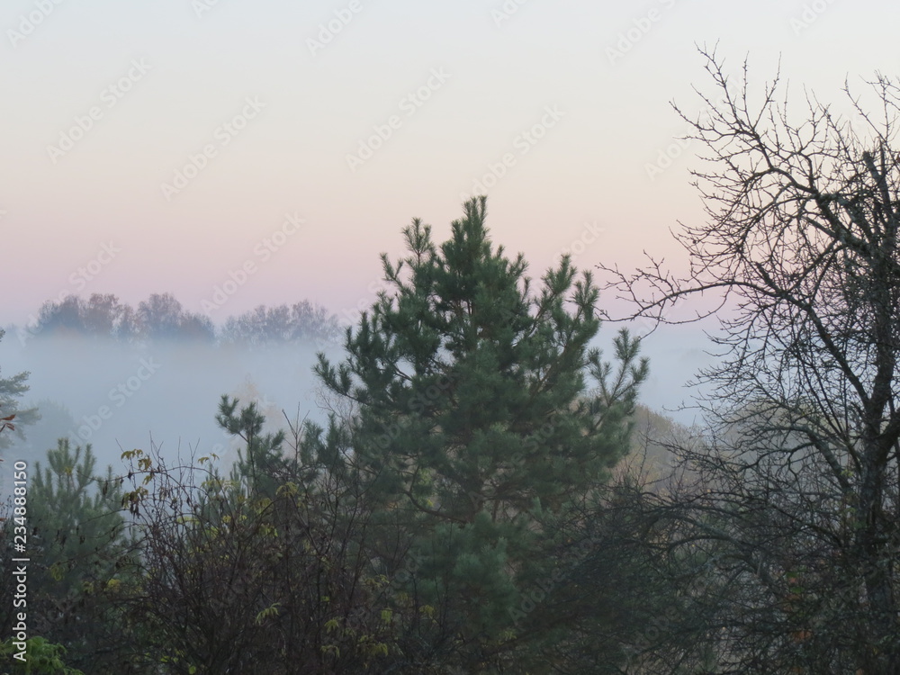 Landscape. Morning. (The Vast Russia! Sergey, Bryansk.)