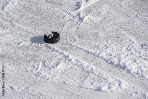 Canvas Print hockey puck lies on the ice in the stadium