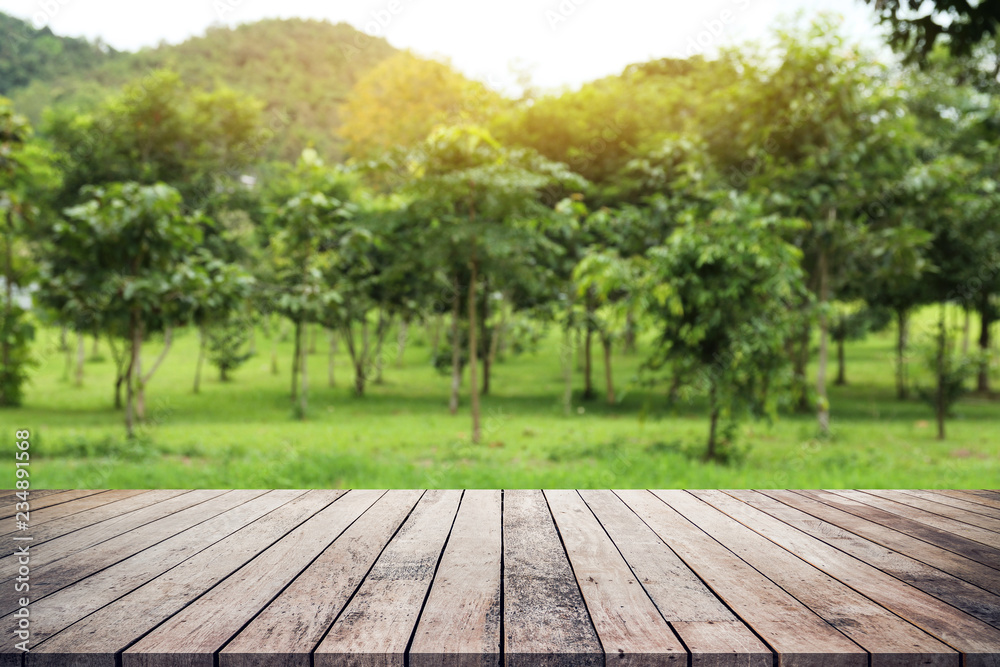 old wood plank with abstract natural tree forest background for product display old wood plank with abstract natural tree forest background for product display