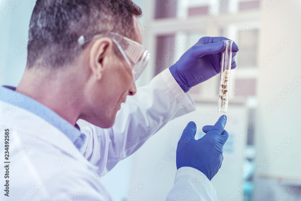 Competent medical worker checking results of research Competent medical worker checking results of research