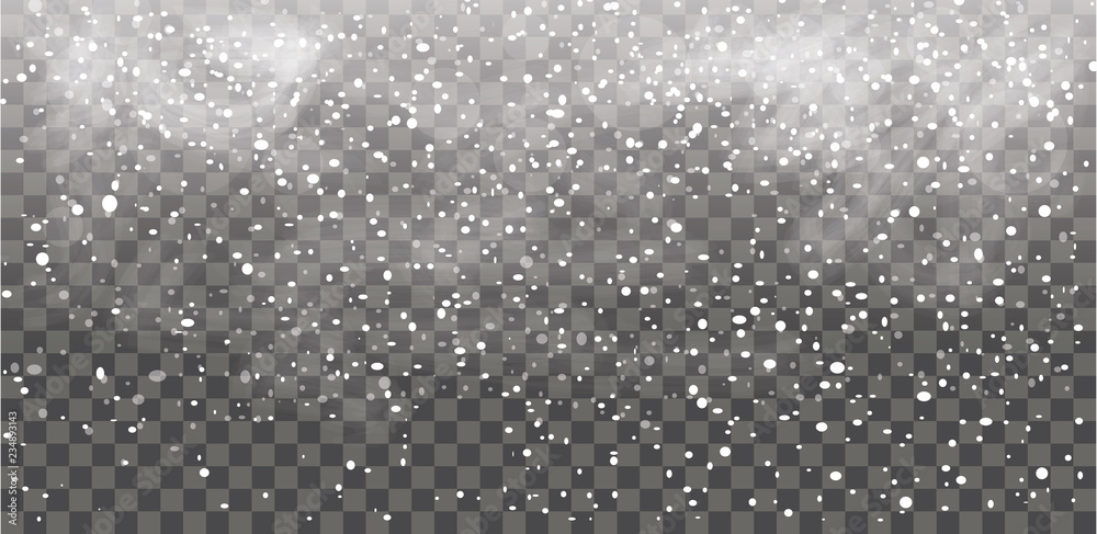 Fototapeta premium Snowfall. Falling snowflakes. Christmas snow. Vector illustration.