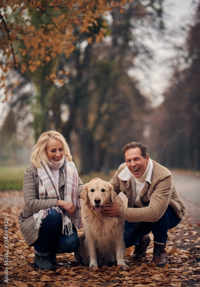 Senior couple in park in autumn Senior couple in park in autumn