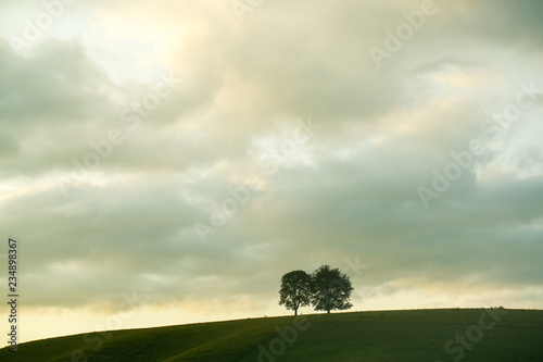 sillhouette of tree on sunrise with smoky clouds