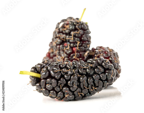 Mulberry is healthy fruit for make juice put on white background