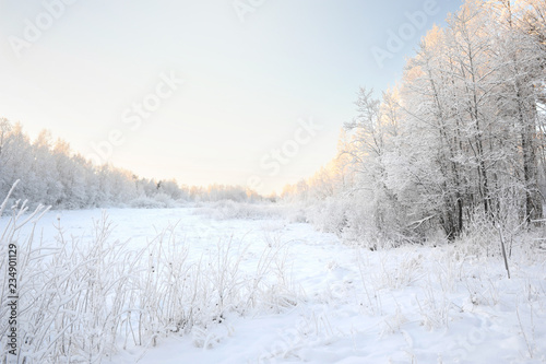 Winter landscape with newly fallen snow