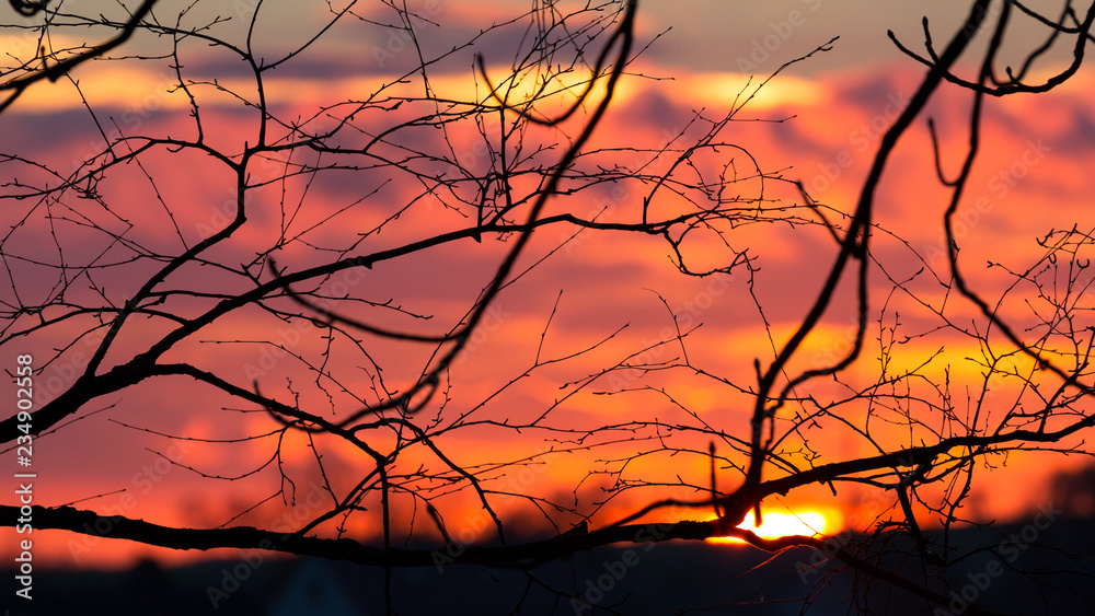 Sonnenuntergang in Frühling mit Baum und Ästen Sonnenuntergang in Frühling mit Baum und Ästen