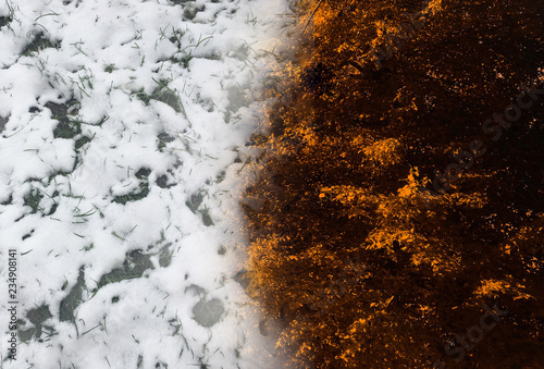 Autumn winter background. Concept of change season. Creative design for banner. © Vitaliy