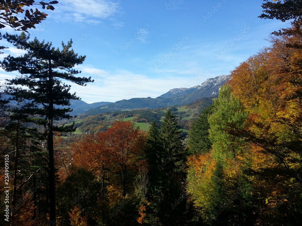 landscape landscape