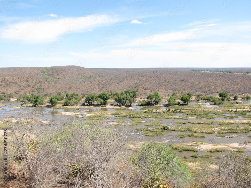Fototapeta premium Afrika Tiere Natur