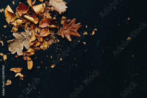 Orange leaf background. Autumn in nature