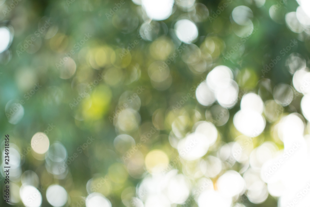 Natural green gradient light and blurred effect image design for presentation background Natural green gradient light and blurred effect image design for presentation background