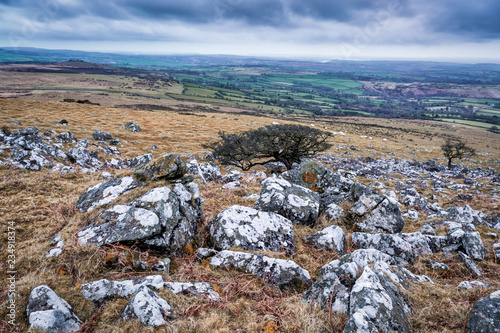 Dartmoor devon england uk  photo