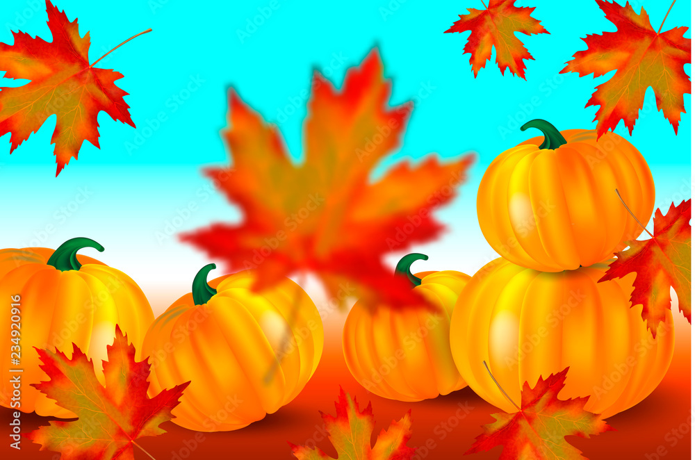Bright orange pumpkins and falling red maple leaves on a blue autumn background. Seasonal banner with copy space for your text. Vector illustration