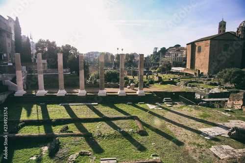 Roman forum - Italy photo