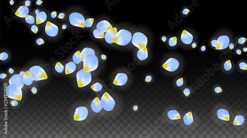 Vector Realistic Blue Petals Falling on Transparent Background.  Spring Romantic Flowers Illustration. Flying Petals. Sakura Spa Design. Blossom Confetti.