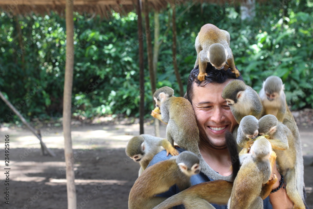Naklejka premium Group of monkeys playing with a man