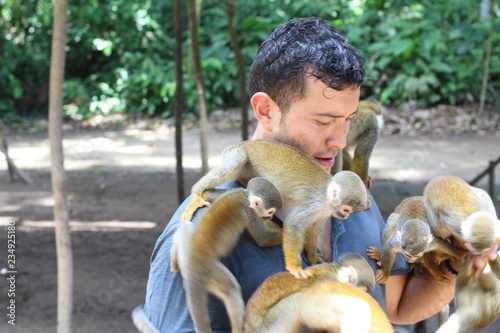Beautiful monkeys interacting with a human 