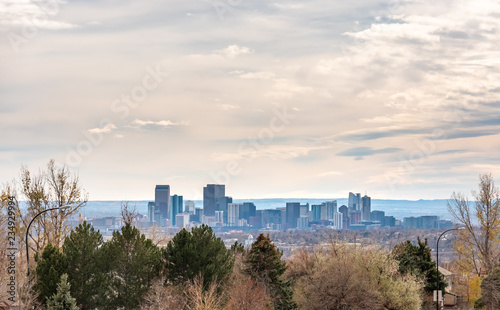 View of Downtown Denver Through Residential Area Trees