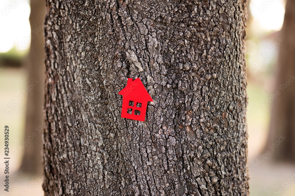 Fototapeta premium Love nature. Heart Shape On Tree