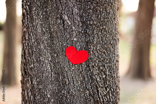 Love nature. Heart Shape On Tree