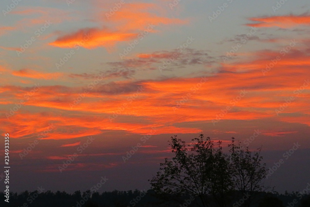 Beautiful fiery orange sunset over the field, orange flame in the sky