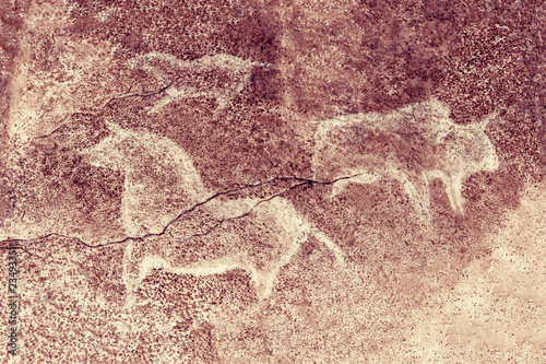 images of ancient animals on the cave wall. the story, the era.