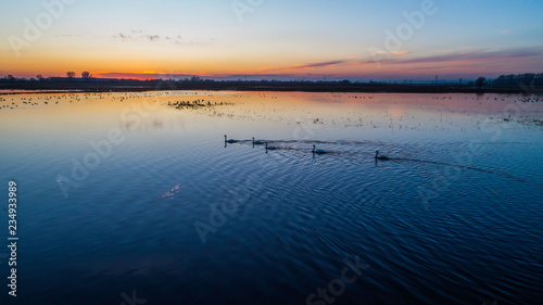 Fototapeta Naklejka Na Ścianę i Meble -  Animals on the backwaters at sunset