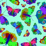 Illustration of colorful butterflies on a nice color background.
