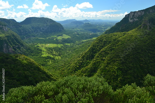 Tropical Forest and Mountains