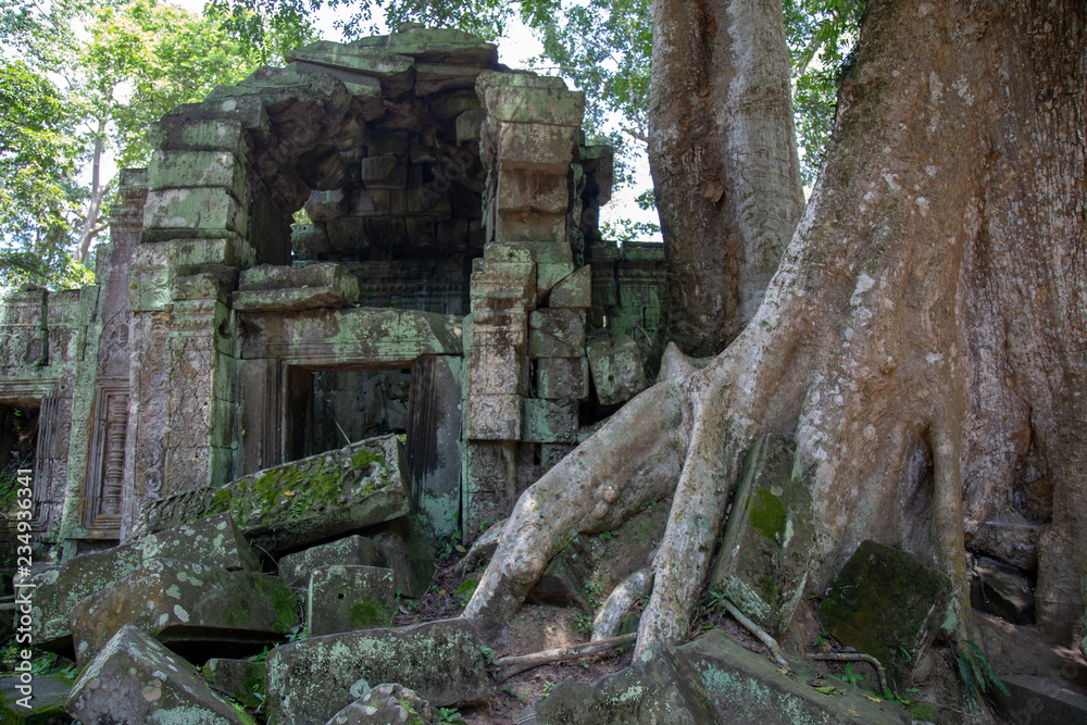 Ta Prohm Angkor Wat Cambodia. The ancient temple of Ta Prohm at Angkor Wat, Cambodia where roots of the jungle trees intertwine with the masonry of these ancient structures producing surreal world. Ta Prohm Angkor Wat Cambodia. The ancient temple of Ta Prohm at Angkor Wat, Cambodia where roots of the jungle trees intertwine with the masonry of these ancient structures producing surreal world.