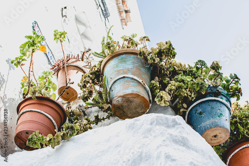 Plants in pots. Typical street decoration of andalusian white villages. Casares. Andalusia.Spain