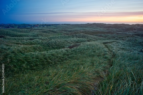 Morgengrauen - Dünenlandschaft an der dänischen Nordseeküste photo